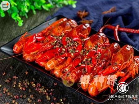 蝦神探，獨特的養殖技術消除龍蝦淡季問題