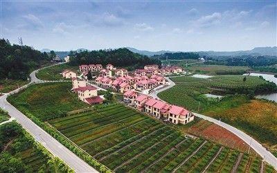 四川省巴中市恩陽區“三大國土項目”全覆蓋 脫貧動力足