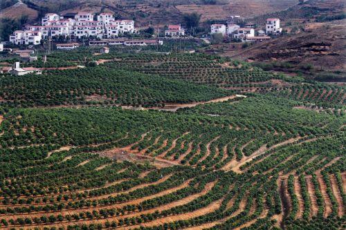四川市縣國土空間總體規劃已全部形成初步成果