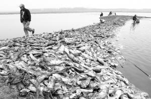 智慧農業物聯網新品，卓振智能水產養殖增氧機控制器