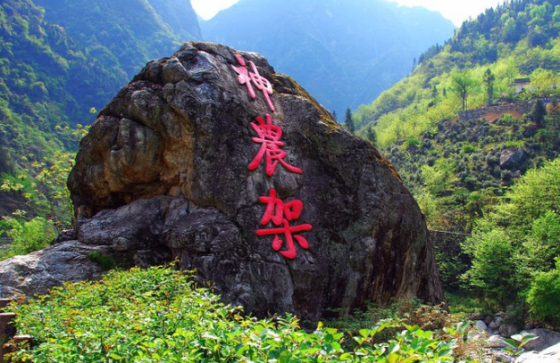 湖北神農架林區電商生態初現雛形