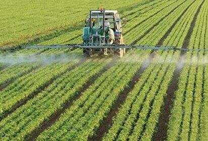 湖北省出臺糧食產業三年培植計劃