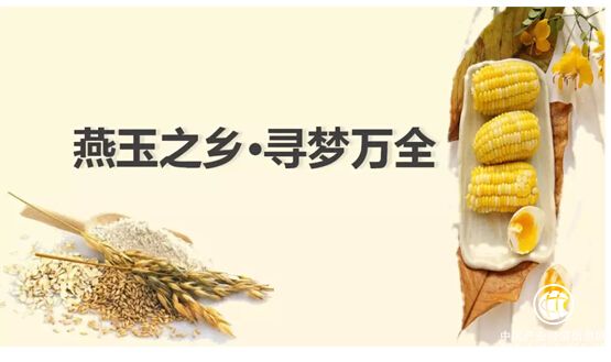 網庫以立鼎之勢，賦能燕麥產業發展