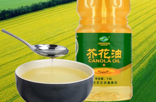 農墾集團助力內蒙古呼倫貝爾打造“中國芥花油之都”