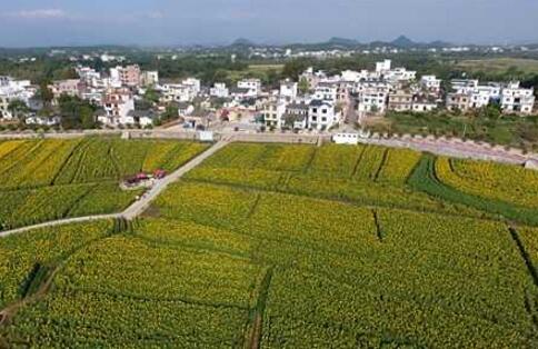 打好攻堅戰 推進鄉村振興