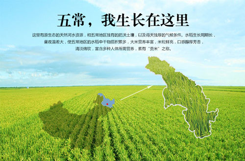 黑龍江五常不斷探索稻米全產業鏈發展合作新路徑
