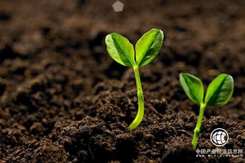 我國土壤治理修復存在諸多短板 期待綜合性解決方案