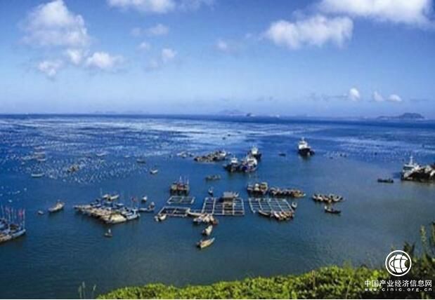 山東：海洋牧場平臺成為經濟發展新動能