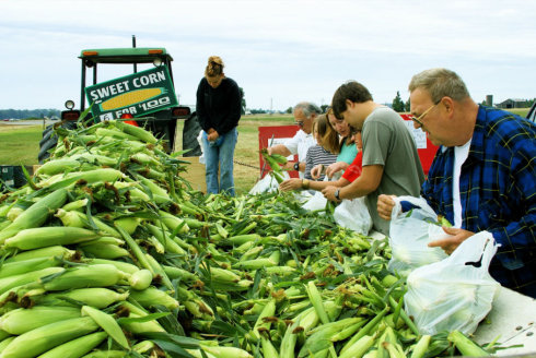 美國7月農產品出口價格創近7年來最大跌幅