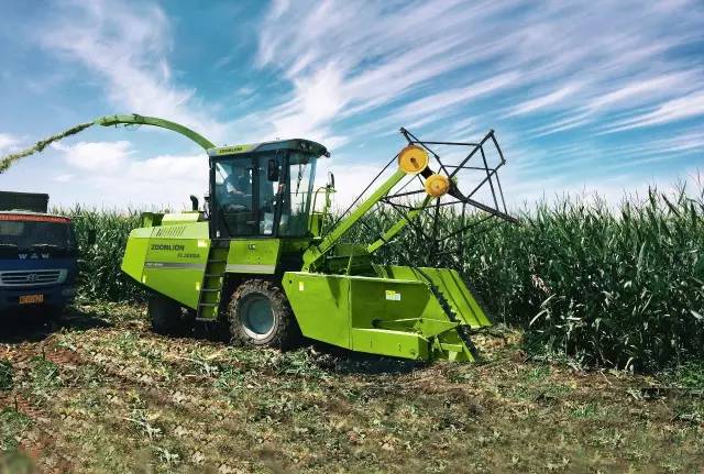 河南56個縣市區實施糧改飼試點項目