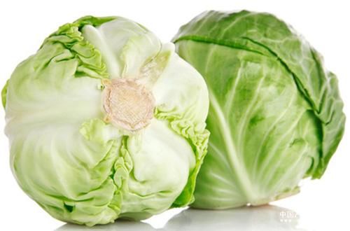 科技日報：卷心菜西蘭花 有助預防腸癌