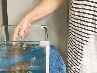 選擇“以房養老”后：獨居老人每月多1800元養老金