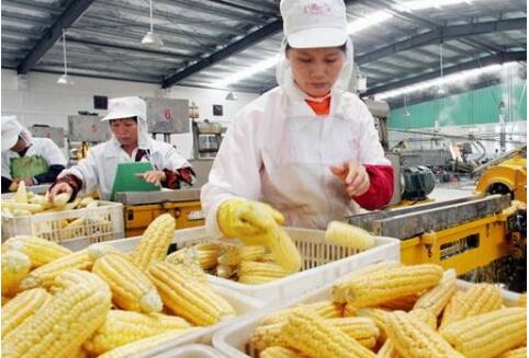 我國食品工業今年上半年呈現五大運行趨勢
