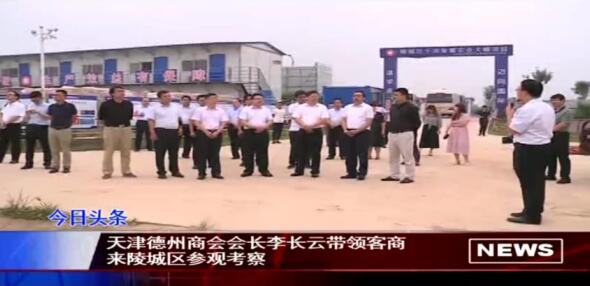 天津德州商會會長李長云帶隊到陵城區參觀
