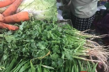 暴雨天氣“后遺癥”，香菜比肉貴最高賣到60元/斤