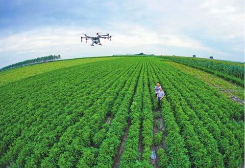 黑龍江今年農業“三減”面積將增至4500萬畝