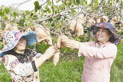 四川成都計劃培育3萬名新型職業農民