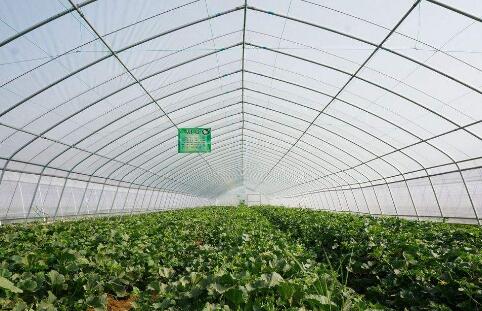 極端天氣暴露我國農業基礎設施建設存在的短板