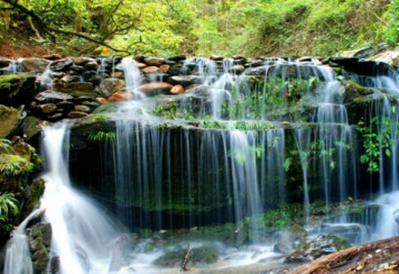 春節假期5387.59萬人次游四川 旅游接待人數全國第一