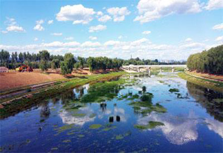 差距明顯 我國環保技術仍處于跟跑