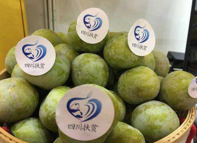 大涼山農產品借“四川扶貧”集體商標走向全國