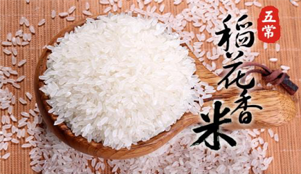 黑龍江大米：我們看重的不止是美味，更是健