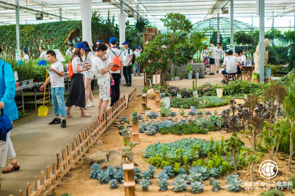 大城市里的農業綜合體 華盛綠能用城市需求帶動鄉村振興