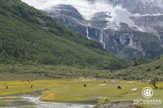只買門票“沒法玩” 景區內交通花費成游客另一大負擔