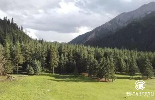四川：搭建“三區”平臺 集約集聚推進林草創新創業