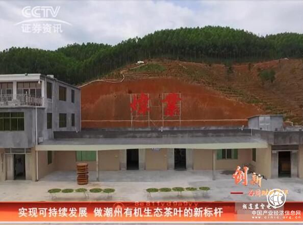 CCTV證券資訊頻道《每周財經資訊》 走進煒業茶園 做有機生態茶葉新標桿