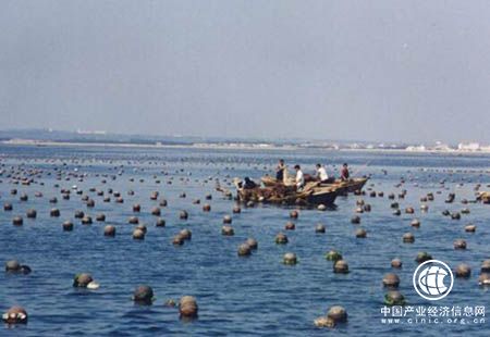山東著力推動海洋經濟快速發展