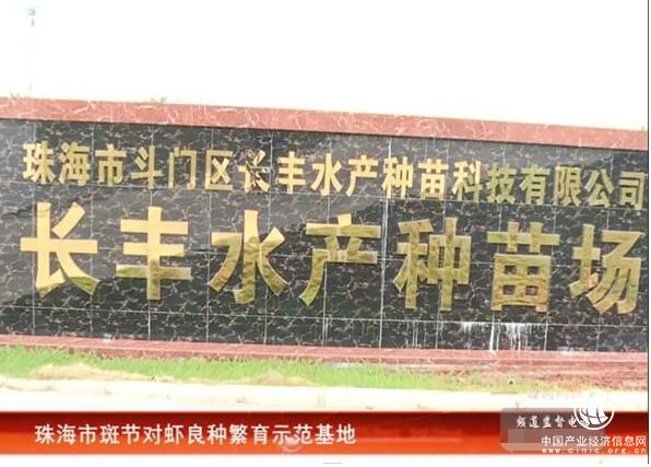 CCTV證券資訊頻道《每周財經資訊》 走進長豐水產 推進健康養殖發展