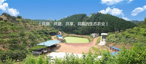 深圳聚農源 八年詮釋一個品牌的執著與初心