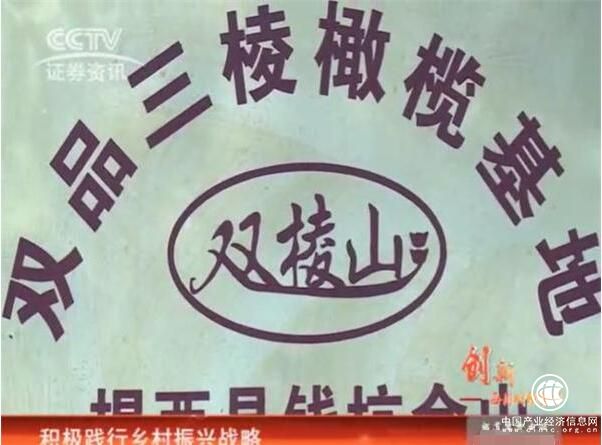 證券資訊頻道《每周財經資訊》 走進三稔橄欖酒 創造果酒的養生神話
