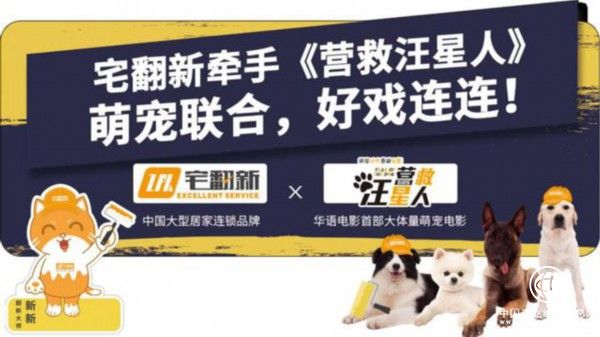 從宅翻新的萌寵IP營銷，看家裝企業如何打造有溫度的品牌