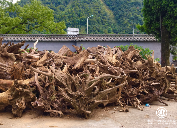 微拍堂匠人故事 | 有根雕的地方就是家，他在異鄉“落葉歸根”