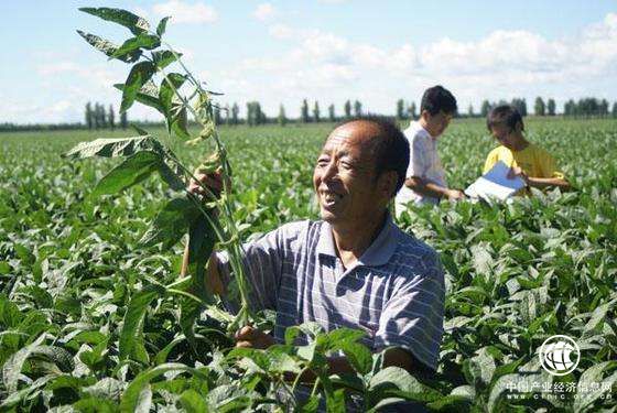 黑龍江海倫：大豆產業推動脫貧攻堅