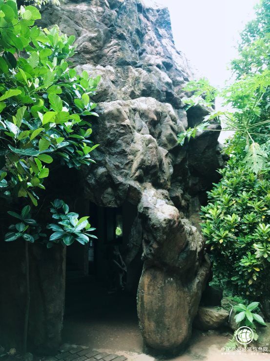 梨花女子學院院長員歆然老師考察海南椰仙山莊旅游地產項目