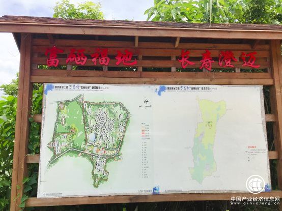 梨花女子學院院長員歆然老師考察海南椰仙山莊旅游地產項目