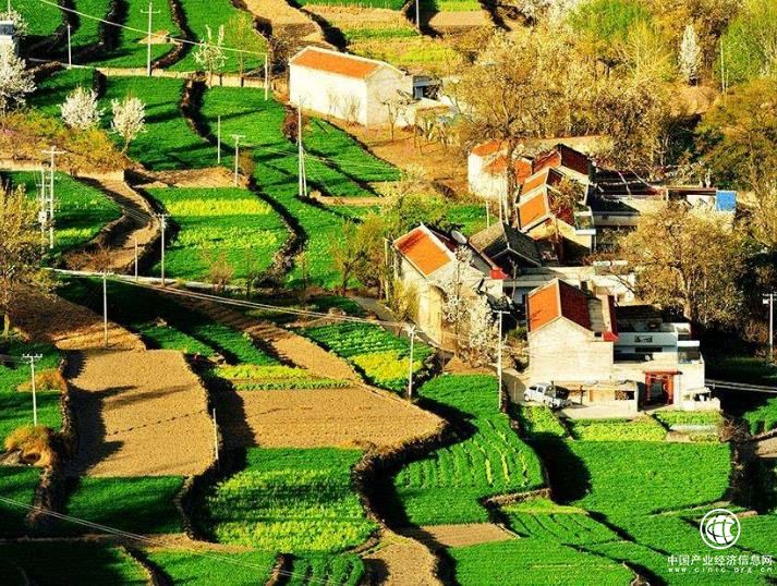 鄉村旅游一攬子提質升級方案落地在即