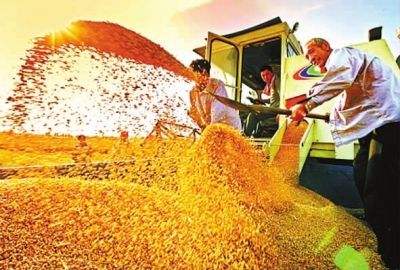 四部門出臺行動方案提升產糧大縣公共服務能力