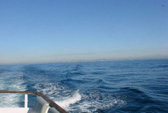 廣州惠州：加快構建現代海洋產業體系，釋放“藍色引擎”新動能