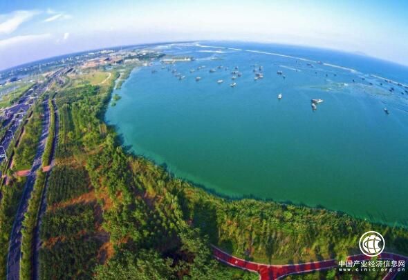 安徽：2020年底基本建成10萬畝環巢湖生態林帶