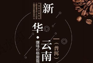 新華·云南（普洱）咖啡價格指數在京發布
