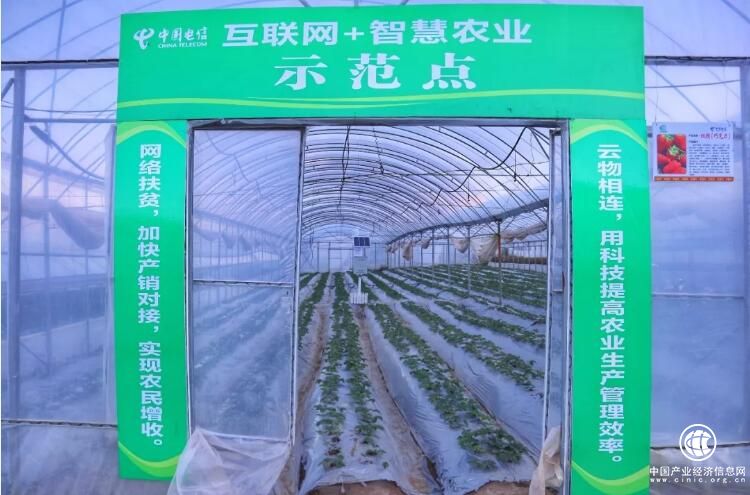 中國電信在大涼山的精準扶貧之路
