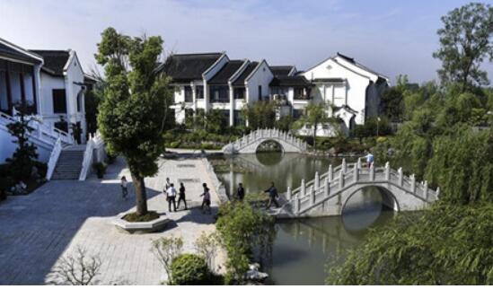 科學建設特色小鎮 激發鄉村發展活力