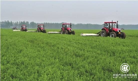 中國苜蓿產業或將迎來