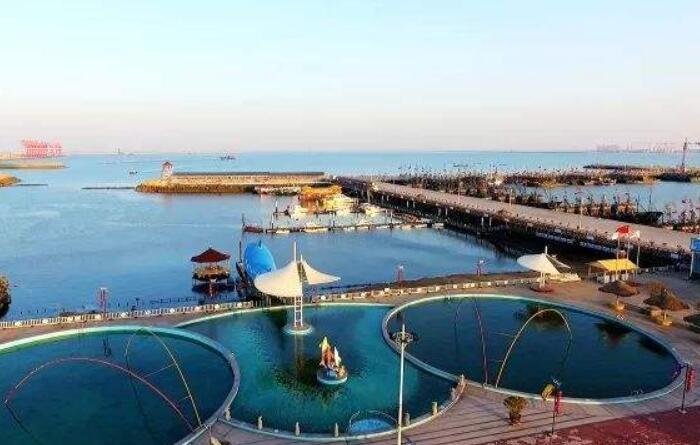 濱海運河城市廣西欽州“蠔情”萬丈 小生蠔撬動大產業