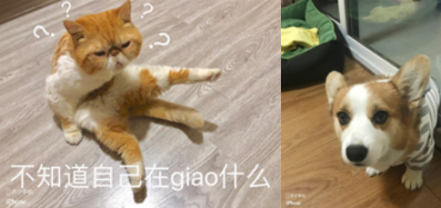 %FGGLWS9Z@60G{2RDI_6GJW.png