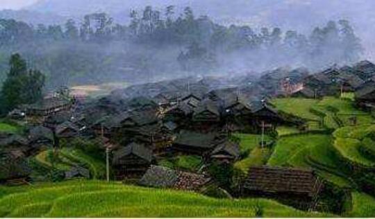 貴州實施十大林業扶貧工程助推脫貧攻堅